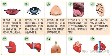 五行五官|管子 : 五行